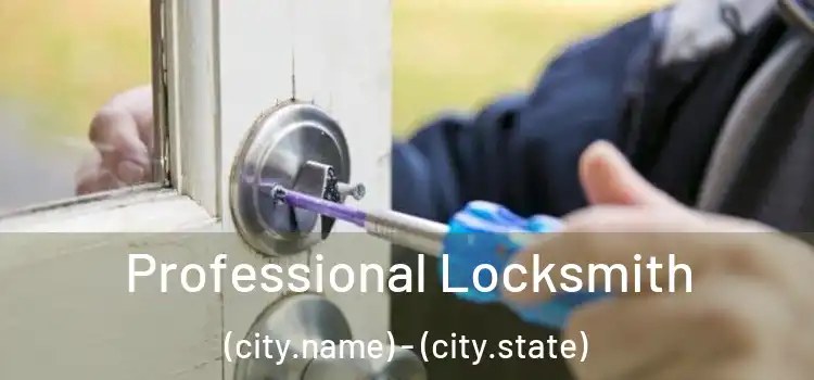 Professional Locksmith (city.name) - (city.state)